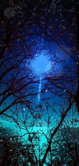 Mystical night sky with silhouette of trees and luminous blue horizon.