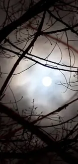 Night sky wallpaper with moon and silhouetted tree branches.