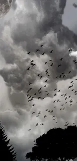 Birds in a cloudy, nighttime sky with a silhouette of trees and the moon.