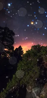 Starry night sky above forest silhouette with glowing stars.