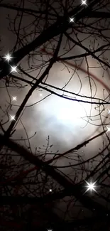 Mystical night sky with stars and silhouetted branches.