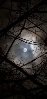 Moonlit night sky through silhouetted tree branches, creating a mystical scenery.