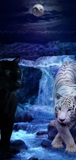 Black and white tigers by a waterfall at night with a full moon above.