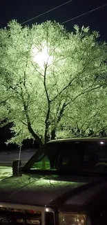 Tree glowing in the night with light and shadows casting on a calm winter scene.