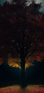 A beautifully lit tree against a dark, mystical sky.