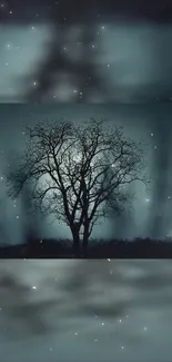 Silhouetted tree against a mystical night sky.