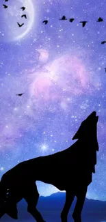 Mystical wolf silhouette against a galaxy night sky wallpaper.