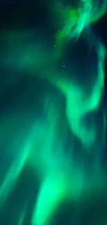 Vibrant green northern lights in night sky.