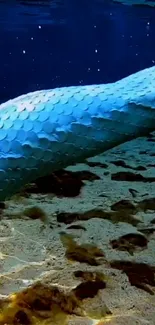 Intricate mermaid tail with blue scales under the ocean.