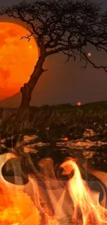 Orange moon reflecting over water with a silhouette tree.