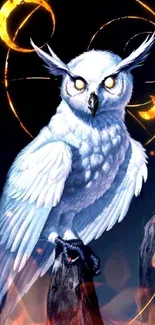 Luminous white owl with glowing eyes against a celestial dark background.