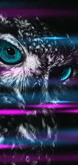 Mystical owl with vibrant blue eyes against a dark background.