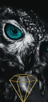 Owl with turquoise eyes and a golden diamond on black background.