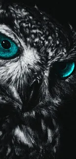 Owl wallpaper with vivid cyan eyes in a dark setting, perfect for mobile screens.