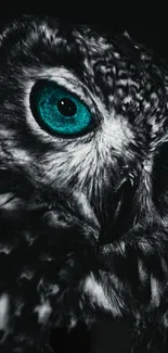 Owl with captivating blue eyes in a dark, artistic mobile wallpaper.