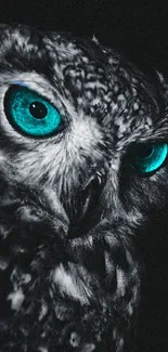 Mystical owl with striking blue eyes on a dark background, perfect for mobile wallpaper.