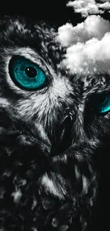 Mystical owl with vibrant turquoise eyes on a dark background.