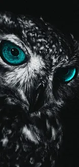 Mystical owl with striking teal eyes in dramatic contrast.