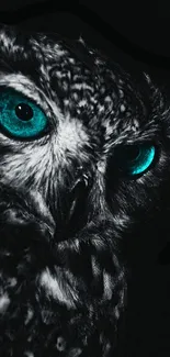 Close-up of owl with turquoise eyes in a dark setting.