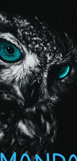 Owl with striking teal eyes in a dark, mystical wallpaper.