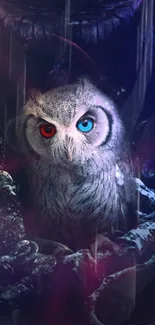 Mystical owl with dual-colored eyes on a fantasy forest background.