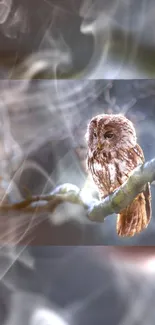 Brown owl perched on branch in mystical forest.