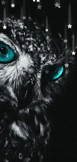 Mystical owl with turquoise eyes on a dark background.