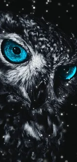 Mystical owl with blue eyes in snowy darkness.