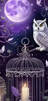 Mystical owl on a cage under a glowing moon.