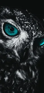 Black and white owl with teal eyes in darkness, mysterious and elegant.