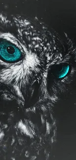 Owl with teal eyes on a dark background, mystical mobile wallpaper.