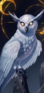 Mystical white owl with glowing eyes and golden rings on a dark blue background.