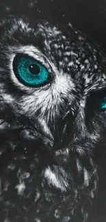 Owl with turquoise eyes in a dark setting.