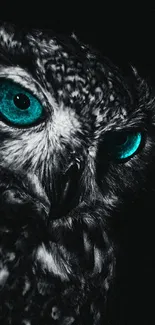 Mystical owl phone wallpaper with turquoise eyes on a dark background.