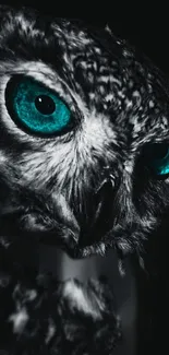 Mystical owl with striking teal eyes on a dark background.