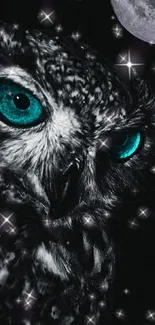 Mystical owl with blue eyes under a moonlit sky, surrounded by stars.