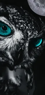 Owl with turquoise eyes in moonlight.