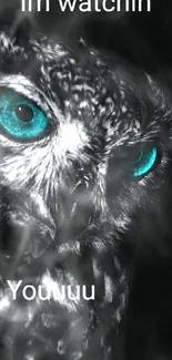 Mystical teal-eyed owl on dark background wallpaper.