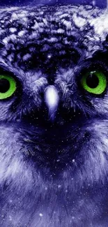 Mystical owl with green eyes on a dark, starry background.