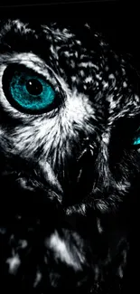 Dark owl close-up with striking teal eyes.