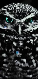 Mystical owl with glowing teal eyes in monochrome design.