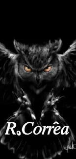 Mystical black owl with piercing eyes.