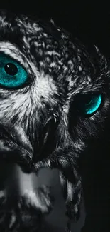 Mystical owl with vivid blue eyes on a dark background.