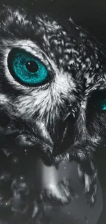 Mystical owl with captivating teal eyes on a dark background.