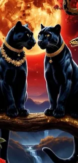 Two panthers on a branch with a full moon background.