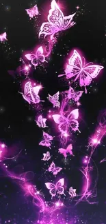 Glowing pink butterflies on a black background.