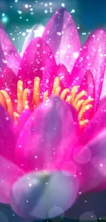 Pink lotus flower with sparkling lights and aquatic backdrop.