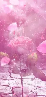 Elegant pink rose with petals and sparkles on a mystical background.