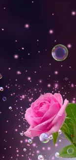 Beautiful pink rose with bubbles and a dark starry background.