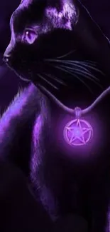 Black cat with a glowing purple aura and pentacle pendant on dark background.